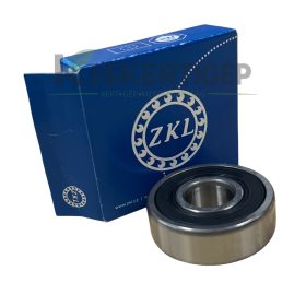 6000 2RS ZKL