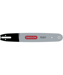 163VXLGD025 Oregon vezető